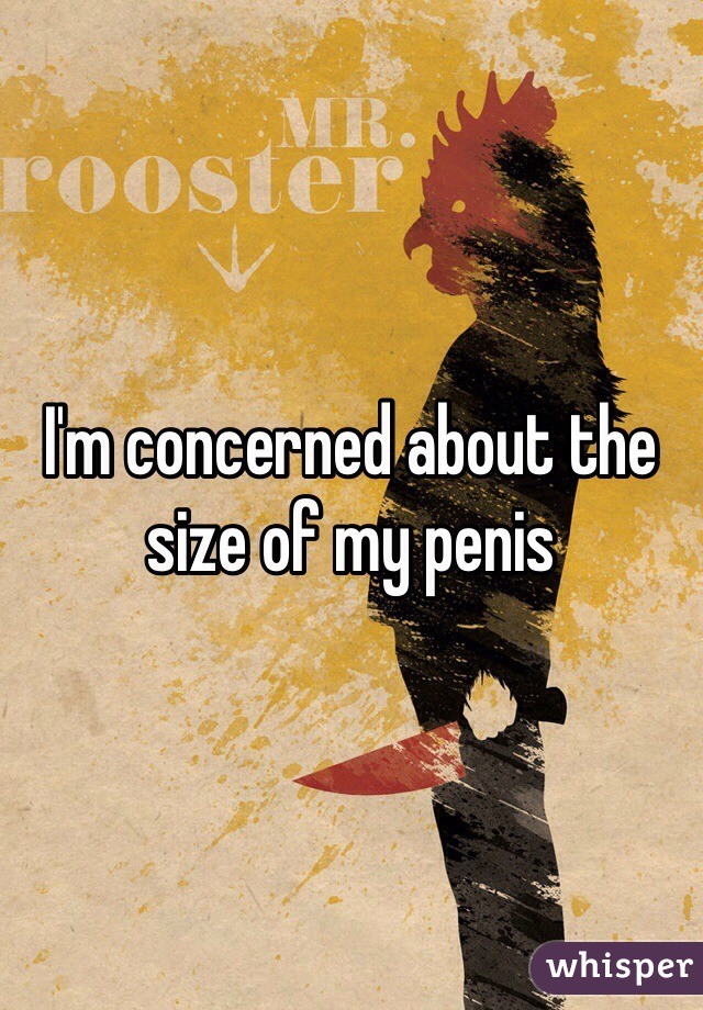 I'm concerned about the size of my penis 