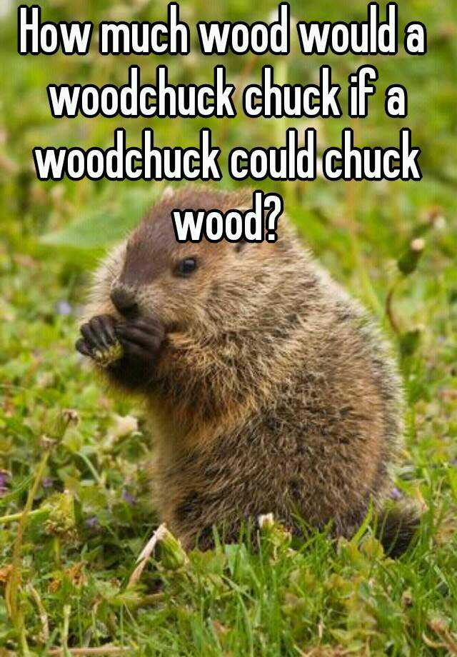 How much wood would a woodchuck chuck if a woodchuck could chuck wood?