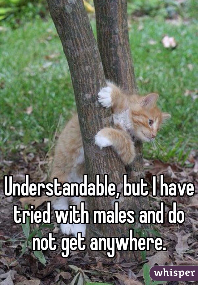 Understandable, but I have tried with males and do not get anywhere. 