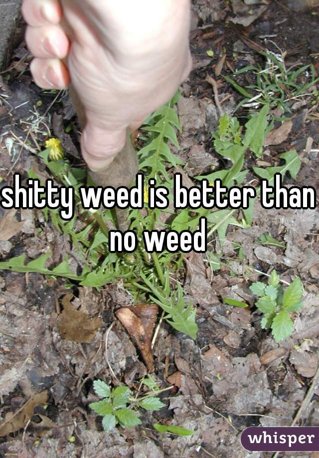 shitty weed is better than no weed 