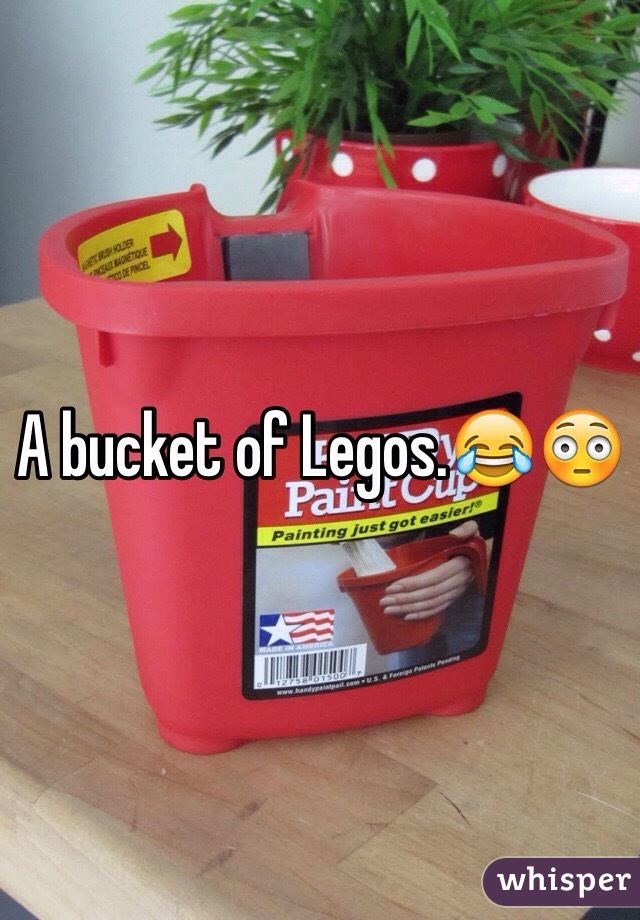 A bucket of Legos.😂😳