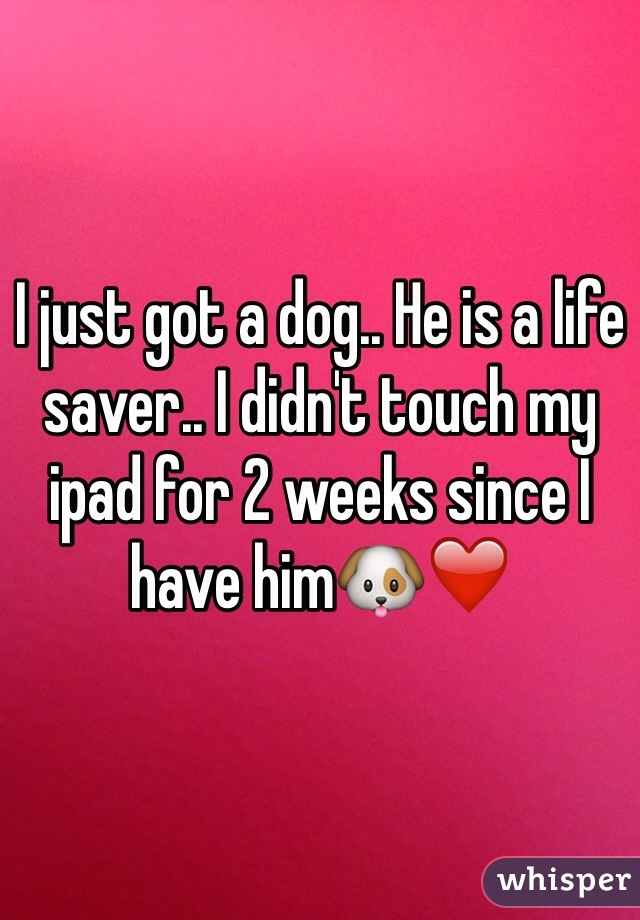 I just got a dog.. He is a life saver.. I didn't touch my ipad for 2 weeks since I have him🐶❤️