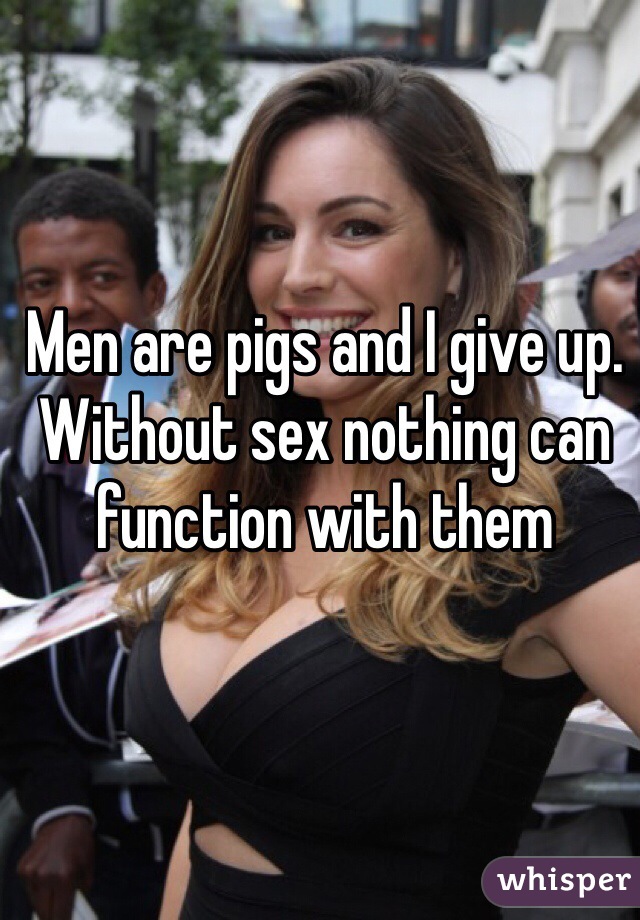 Men are pigs and I give up. Without sex nothing can function with them 