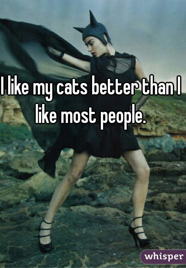 I like my cats better than I like most people. 