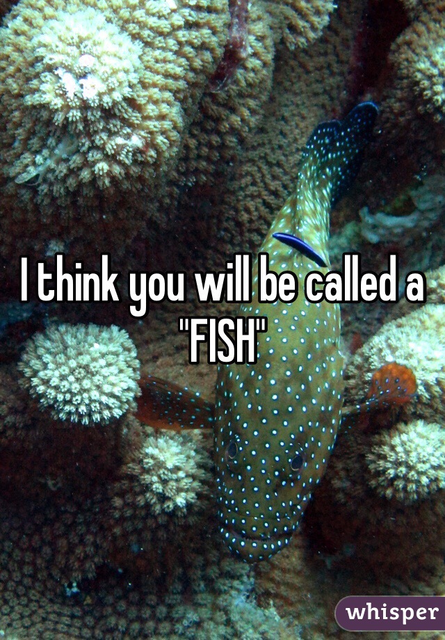 I think you will be called a "FISH"