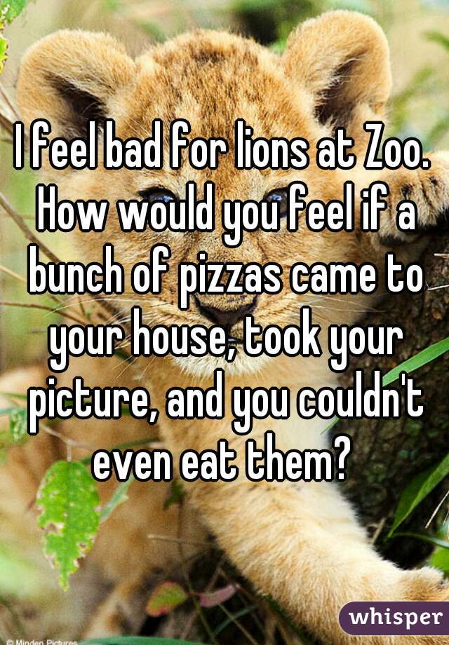 I feel bad for lions at Zoo. How would you feel if a bunch of pizzas came to your house, took your picture, and you couldn't even eat them? 