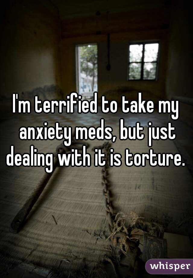 I'm terrified to take my anxiety meds, but just dealing with it is torture. 