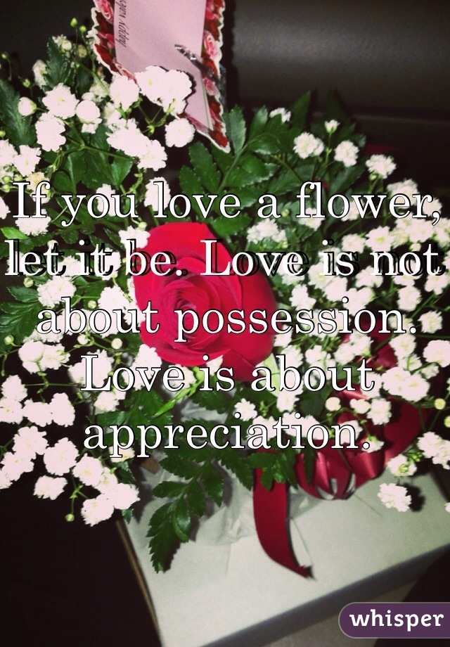 If you love a flower, let it be. Love is not about possession. Love is about appreciation. 