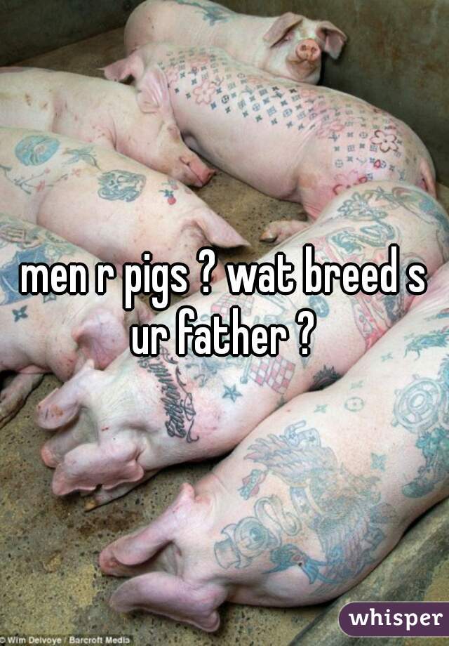 men r pigs ? wat breed s ur father ? 