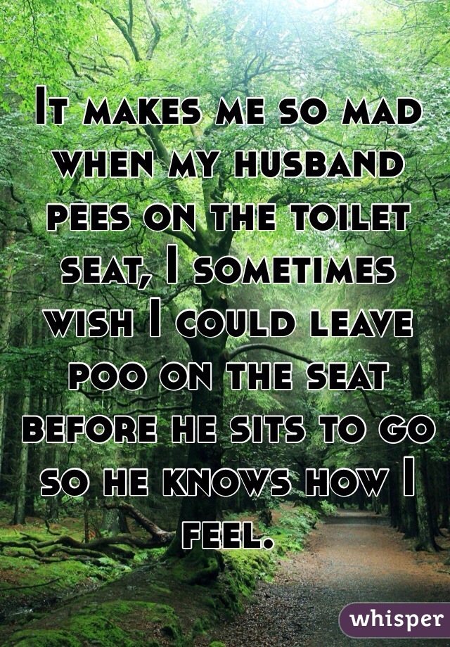 It makes me so mad when my husband pees on the toilet seat, I sometimes wish I could leave poo on the seat before he sits to go so he knows how I feel. 