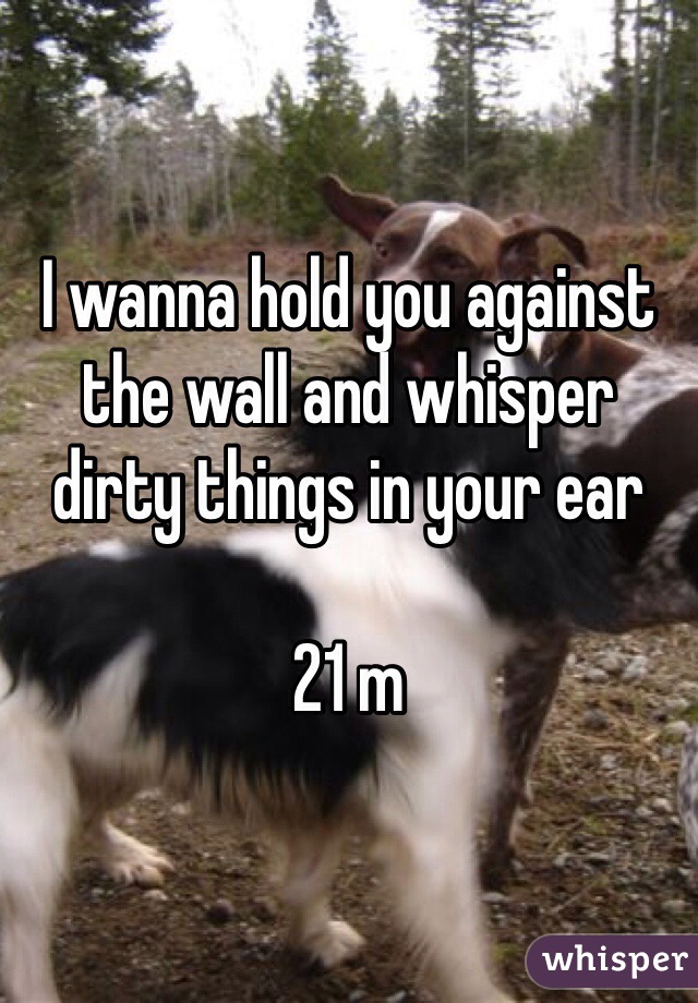 I wanna hold you against the wall and whisper dirty things in your ear

21 m