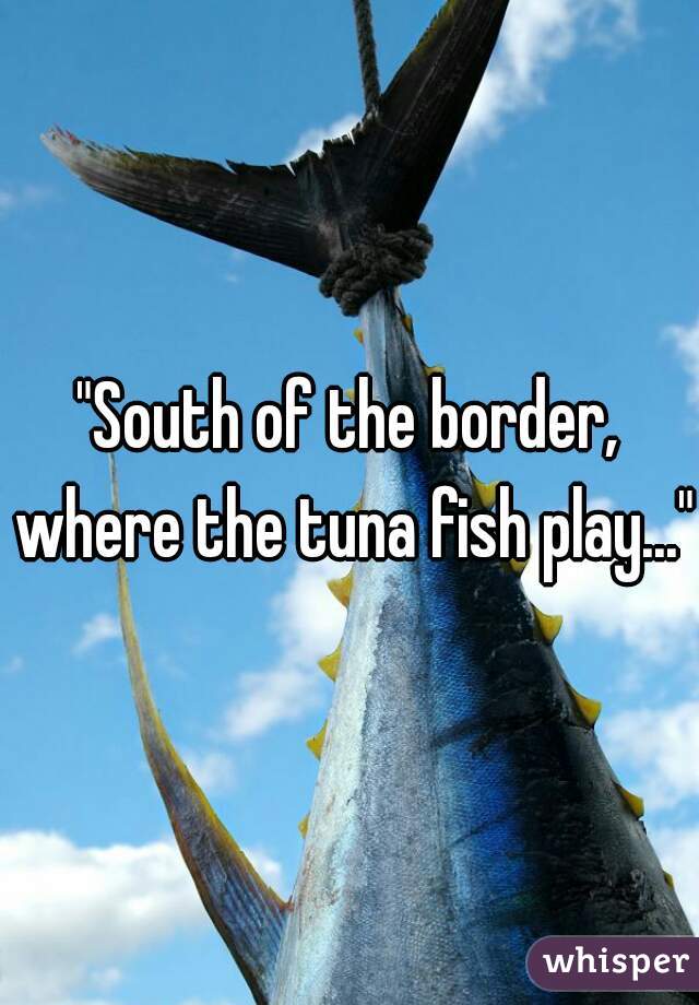 "South of the border, where the tuna fish play..."