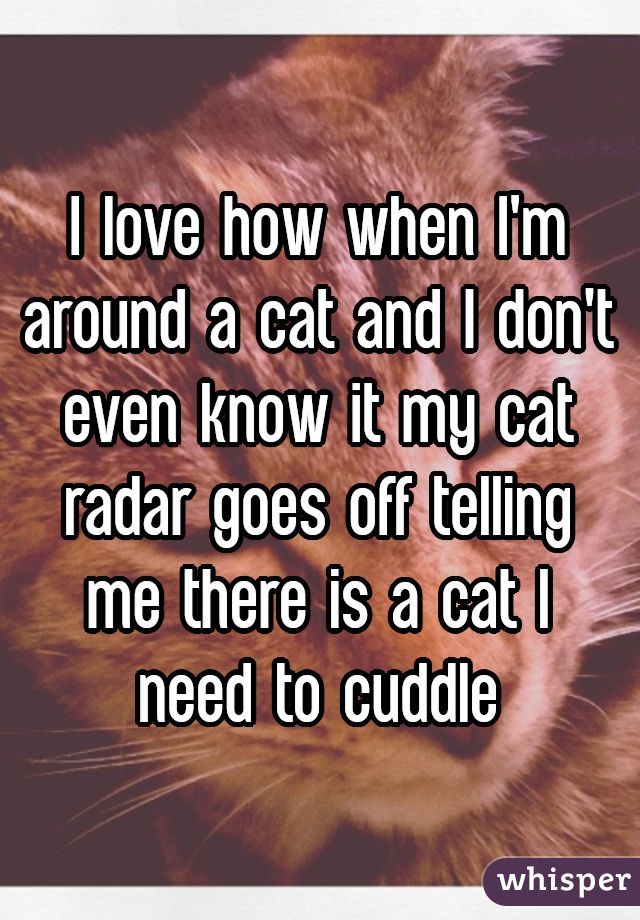I love how when I'm around a cat and I don't even know it my cat radar goes off telling me there is a cat I need to cuddle