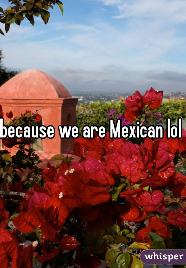 because we are Mexican lol 