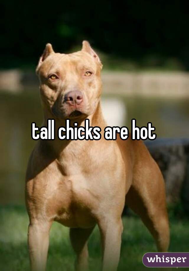 tall chicks are hot