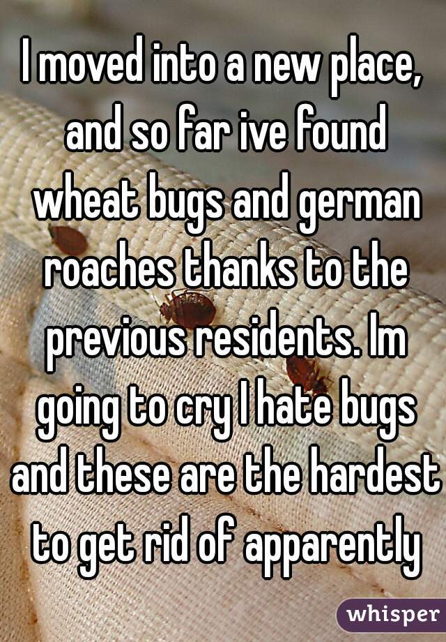 I moved into a new place, and so far ive found wheat bugs and german roaches thanks to the previous residents. Im going to cry I hate bugs and these are the hardest to get rid of apparently
