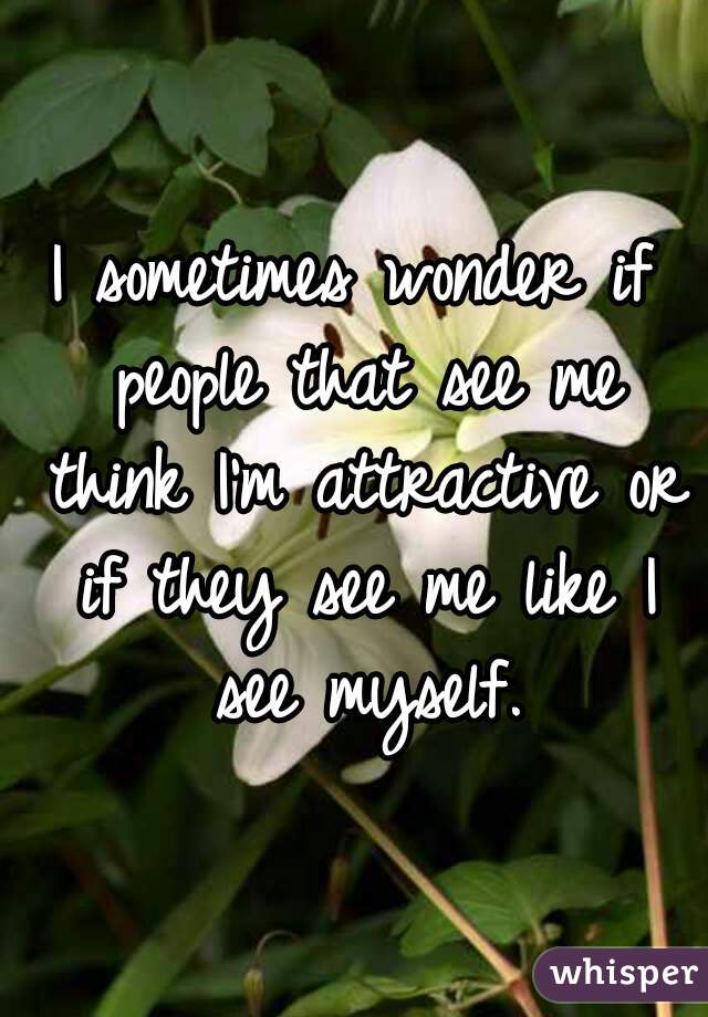 I sometimes wonder if people that see me think I'm attractive or if they see me like I see myself.