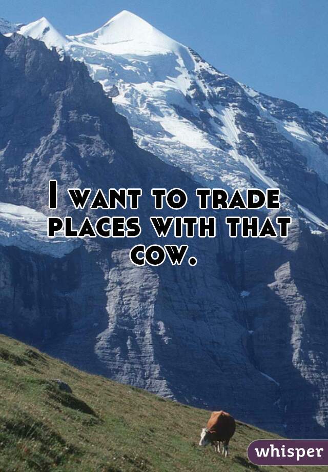 I want to trade places with that cow. 