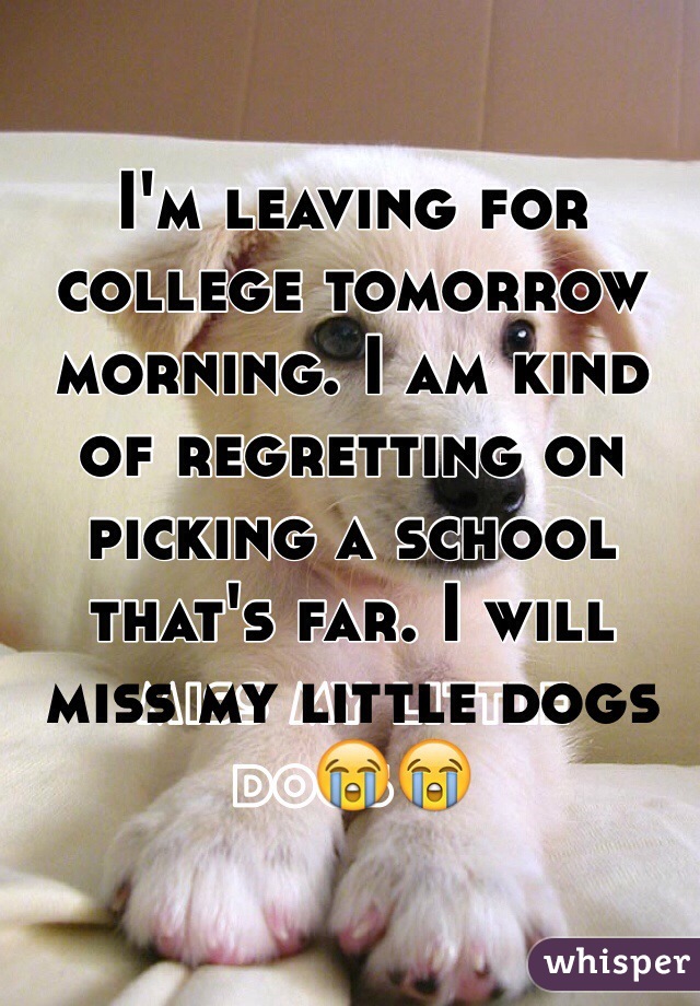 I'm leaving for college tomorrow morning. I am kind of regretting on picking a school that's far. I will miss my little dogs😭