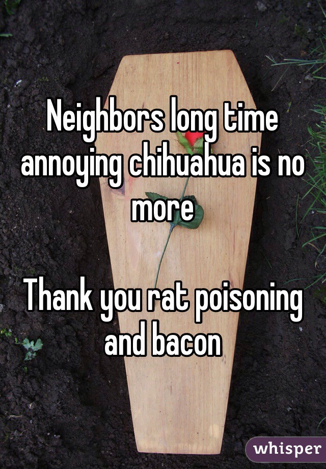 Neighbors long time annoying chihuahua is no more

Thank you rat poisoning and bacon