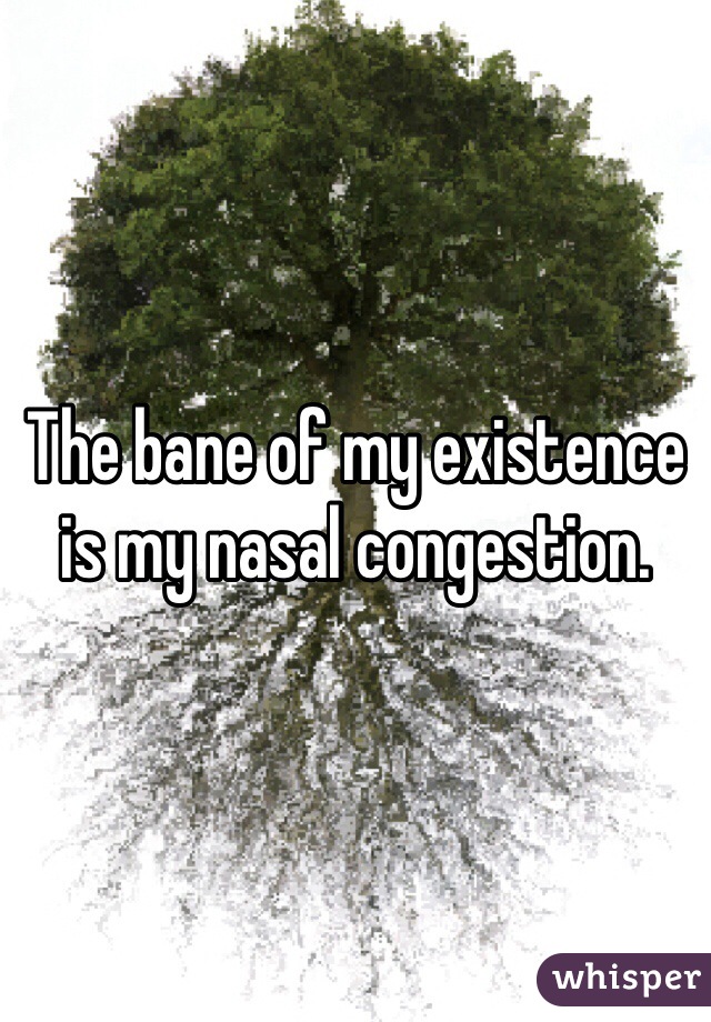 The bane of my existence is my nasal congestion.