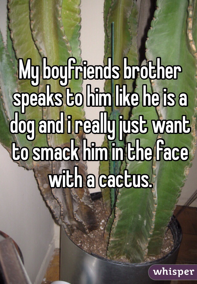 My boyfriends brother speaks to him like he is a dog and i really just want to smack him in the face with a cactus. 