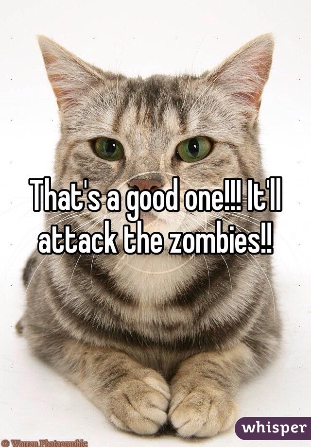 That's a good one!!! It'll attack the zombies!!