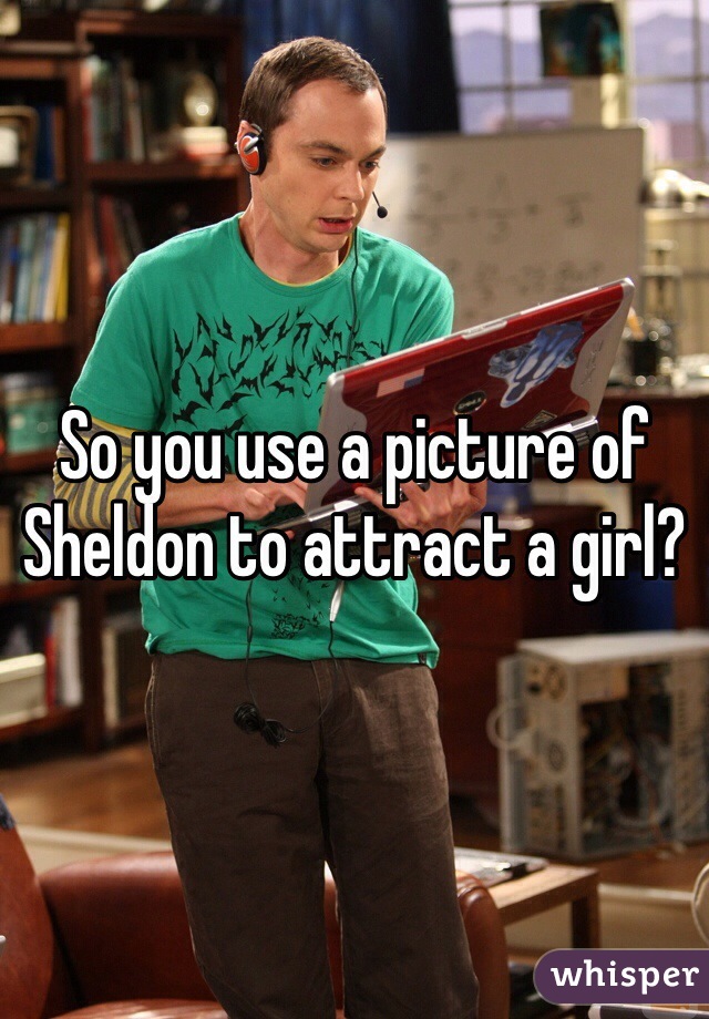 So you use a picture of Sheldon to attract a girl?