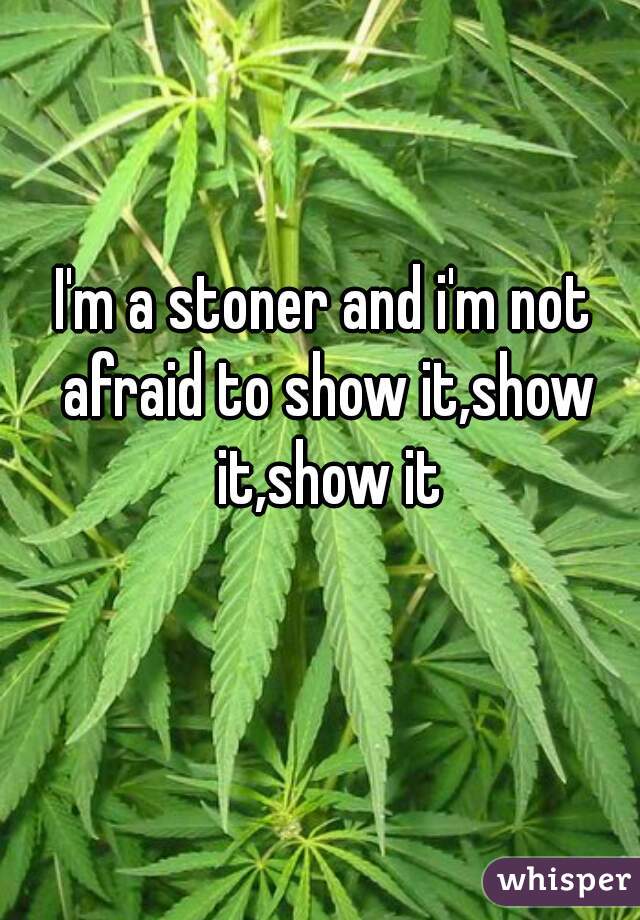 I'm a stoner and i'm not afraid to show it,show it,show it