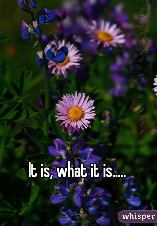 It is, what it is.....