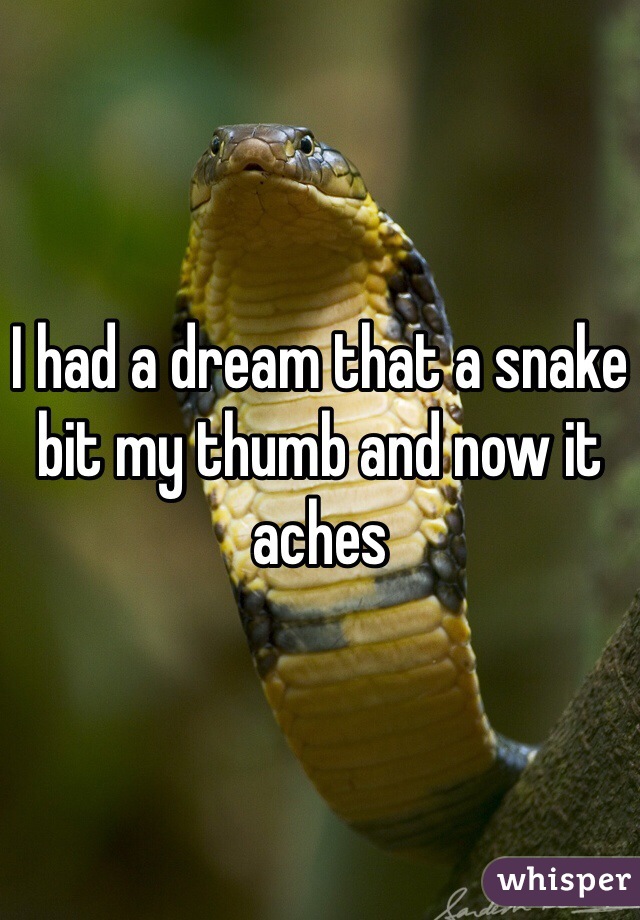 I had a dream that a snake bit my thumb and now it aches 