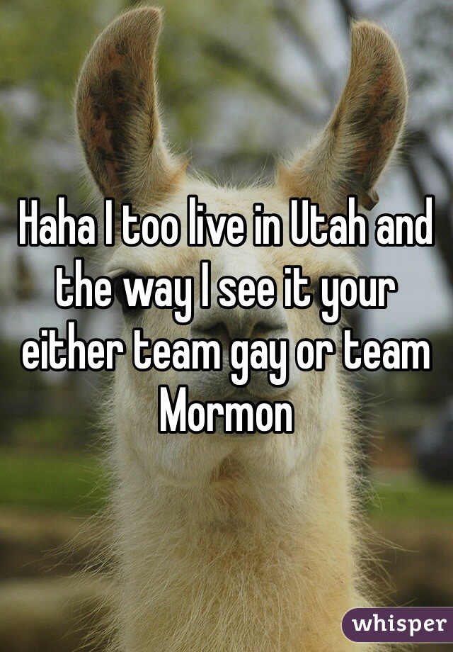 Haha I too live in Utah and the way I see it your either team gay or team Mormon 