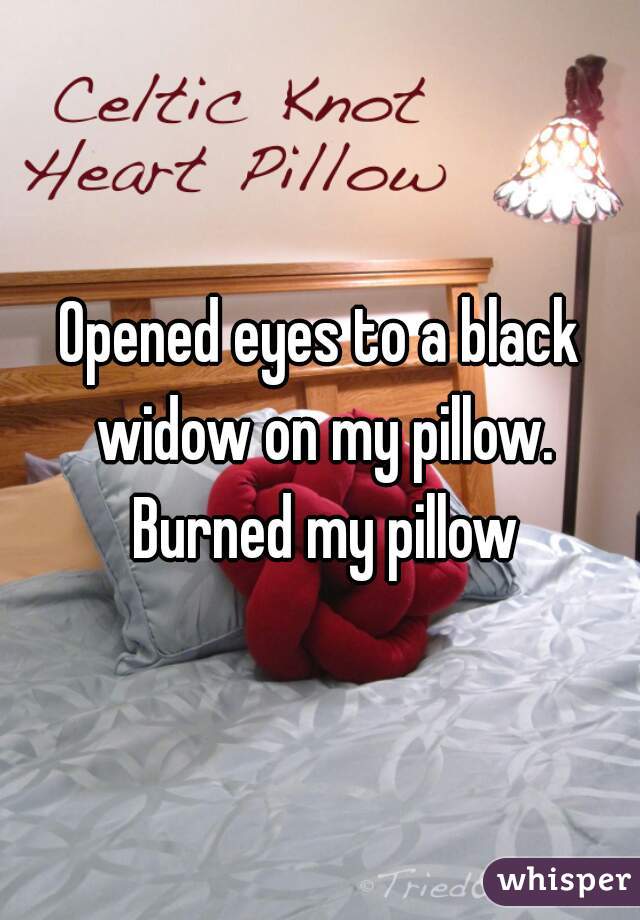 Opened eyes to a black widow on my pillow. Burned my pillow
