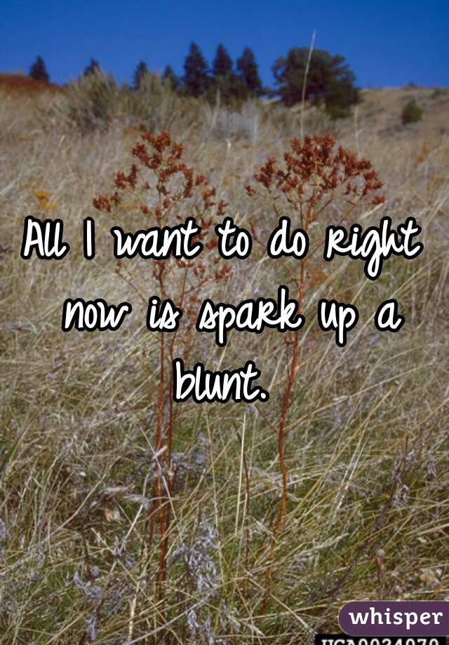 All I want to do right now is spark up a blunt. 