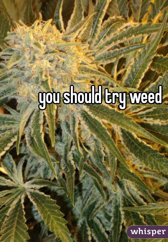 you should try weed 