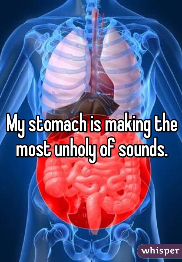 My stomach is making the most unholy of sounds.