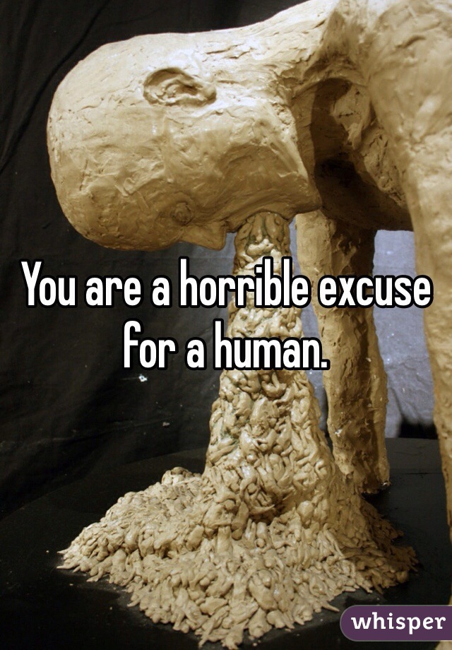 You are a horrible excuse for a human. 