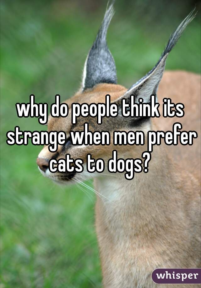 why do people think its strange when men prefer cats to dogs? 