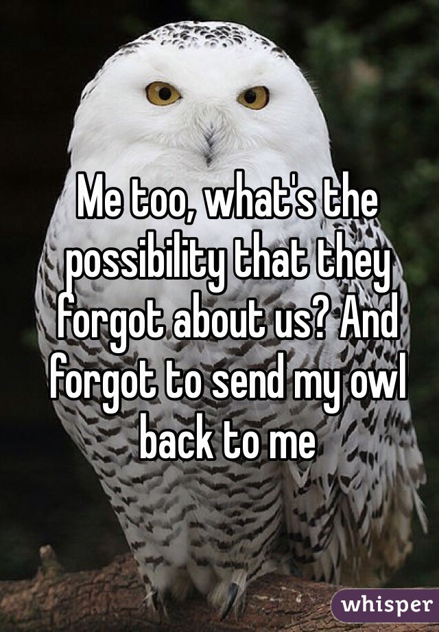 Me too, what's the possibility that they forgot about us? And forgot to send my owl back to me