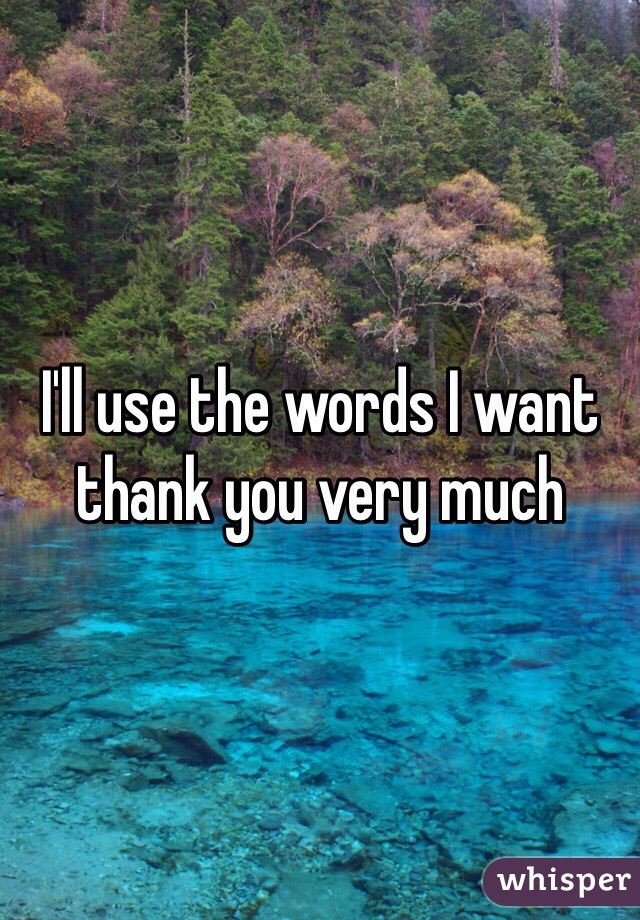 I'll use the words I want thank you very much 