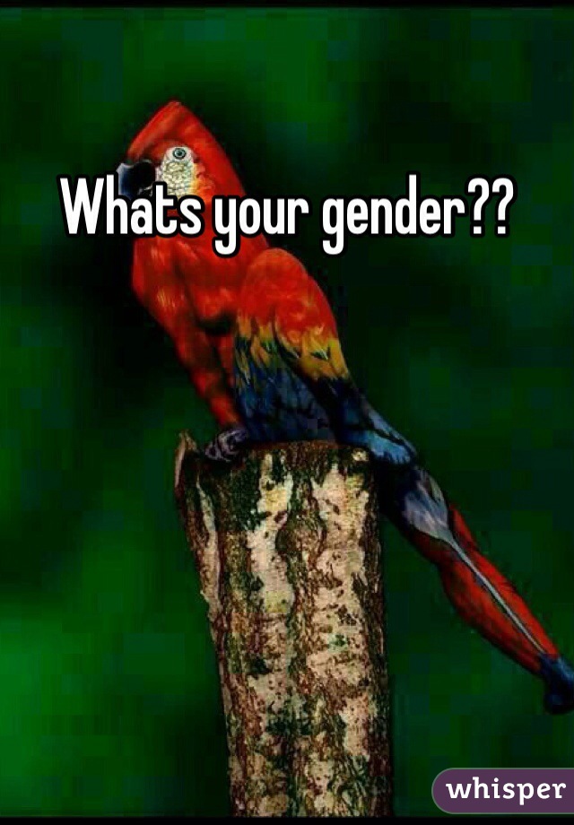 Whats your gender??