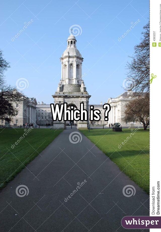 Which is ? 