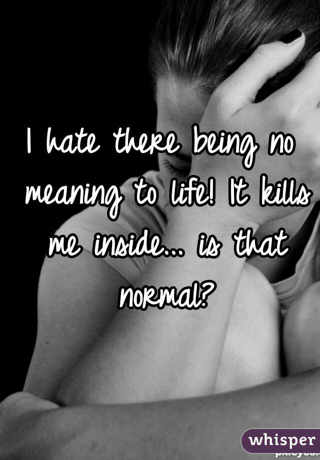 I hate there being no meaning to life! It kills me inside... is that normal?