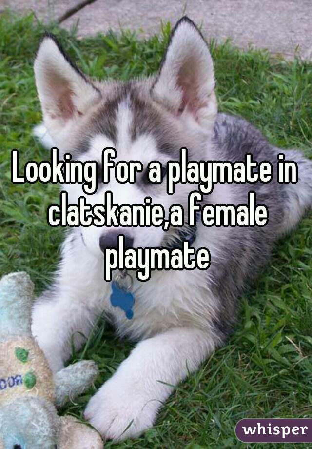 Looking for a playmate in clatskanie,a female playmate