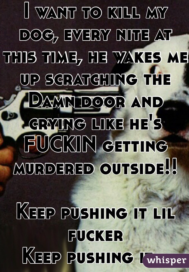 I want to kill my dog, every nite at this time, he wakes me up scratching the Damn door and crying like he's FUCKIN getting murdered outside!!

Keep pushing it lil fucker 
Keep pushing it...