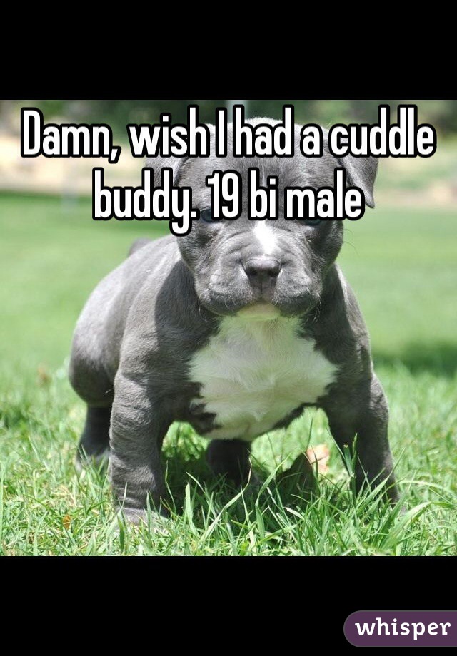 Damn, wish I had a cuddle buddy. 19 bi male