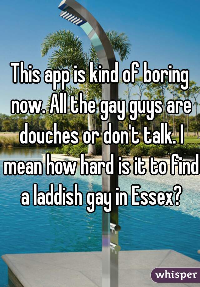 This app is kind of boring now. All the gay guys are douches or don't talk. I mean how hard is it to find a laddish gay in Essex?