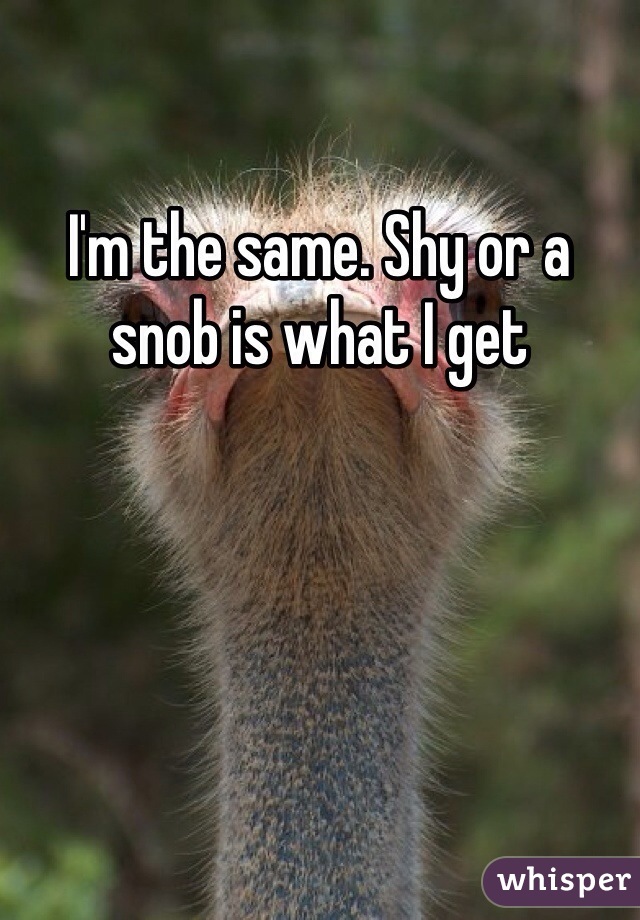 I'm the same. Shy or a snob is what I get 