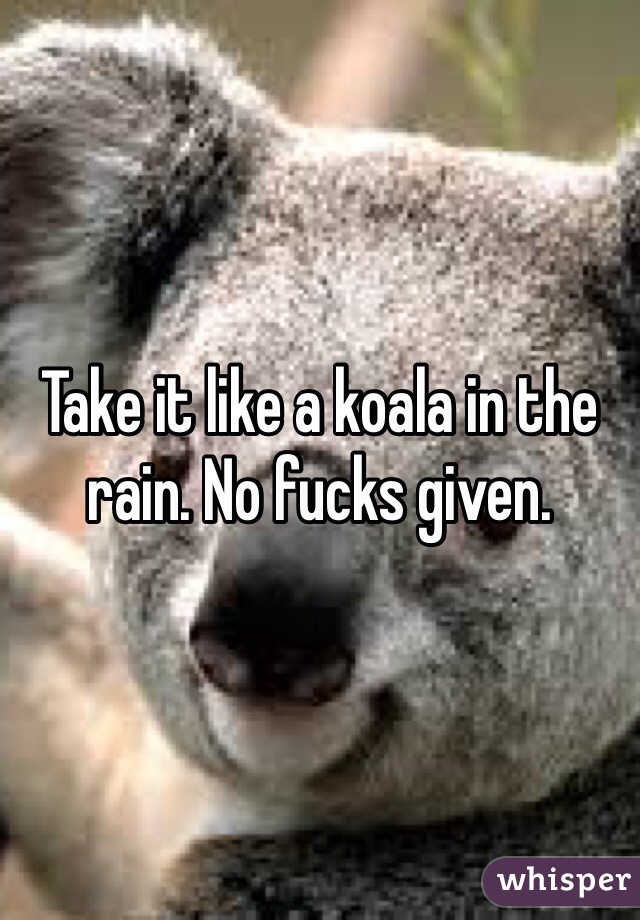 Take it like a koala in the rain. No fucks given.