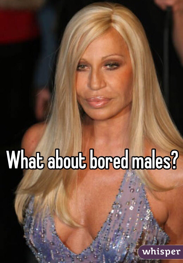 What about bored males?